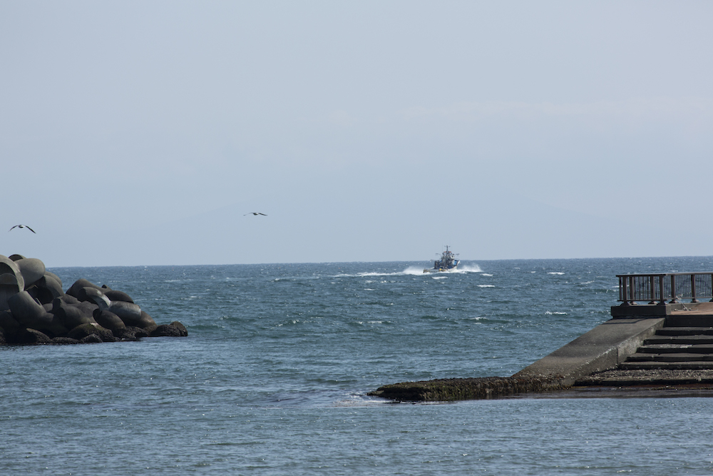 201904_tsuchiya_toyoura_16