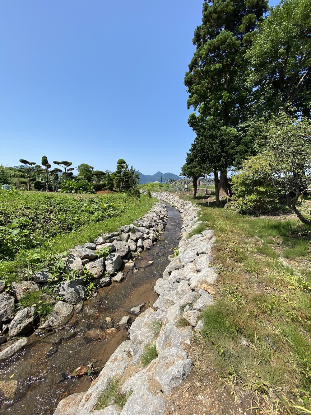 202203_tsuchiya_toya_renovation_B16